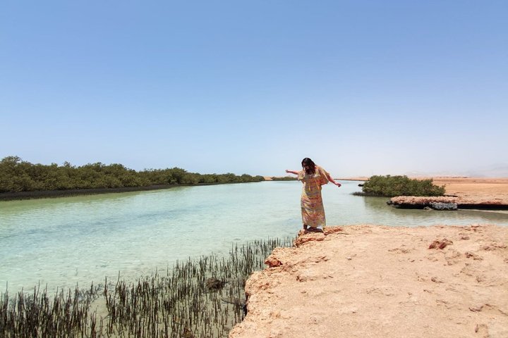 Esplora i diversi paesaggi e la vita marina del Parco Nazionale di Ras Mohammed in un tour via terra da Sharm El Sheikh, foto 44 | wizardtrip