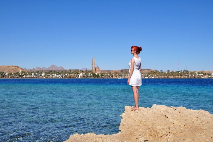 Esplora i diversi paesaggi e la vita marina del Parco Nazionale di Ras Mohammed in un tour via terra da Sharm El Sheikh, foto 45 | wizardtrip
