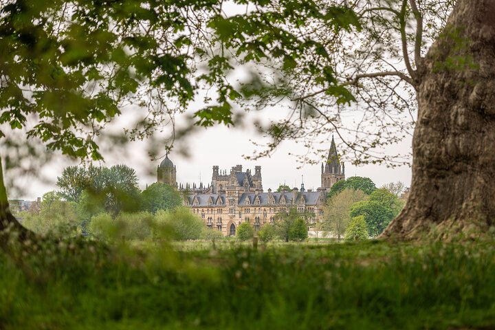 Passeio de barco panorâmico em Oxford passando por faculdades históricas e pela Folly Bridge, foto 8 | wizardtrip