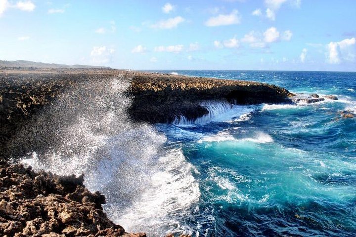 Tour por las playas de la costa oeste de Curazao, incluyendo snorkel con tortugas y visita a parques nacionales, foto 4 | wizardtrip