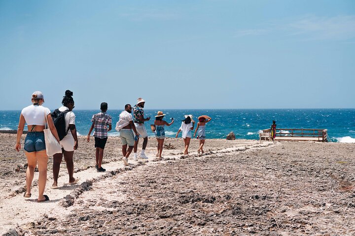 Tour por las playas de la costa oeste de Curazao, incluyendo snorkel con tortugas y visita a parques nacionales, foto 5 | wizardtrip