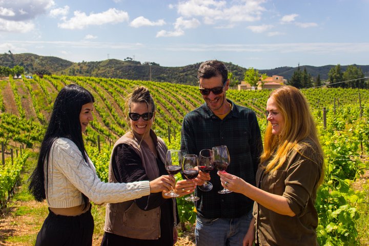 Albufeira Wine Tasting: Boutique Winery Tour & Historic Silves | wizardtrip