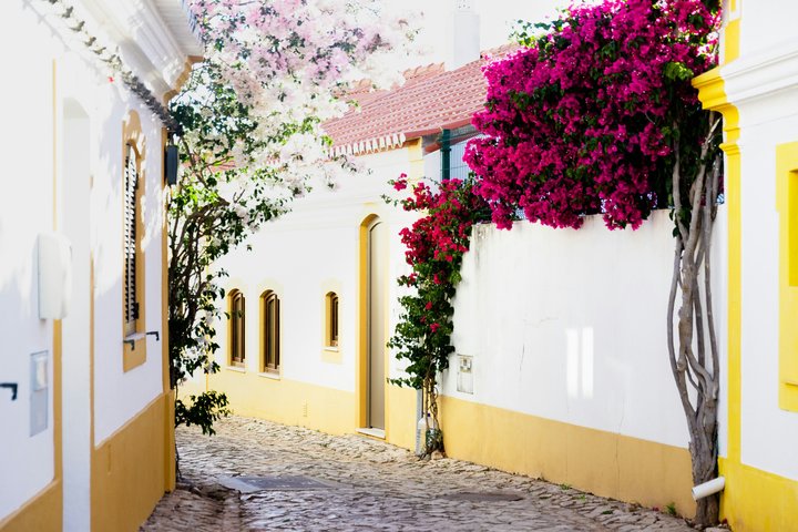 Desfrute de um tour de degustação de vinhos em Albufeira, Portugal, com uma visita à histórica Silves, foto 9 | wizardtrip
