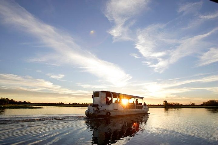 Kakadu | wizardtrip