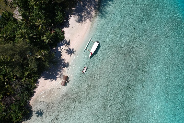 Profitez d'une excursion partagée dans le lagon de Moorea avec snorkeling, nage avec des requins et des raies, et déjeuner sur un motu, photo 7 | wizardtrip