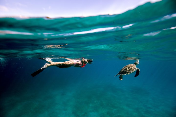 Turtle Cove Catamaran Snorkel and Sail at Little Buck Island STT | wizardtrip