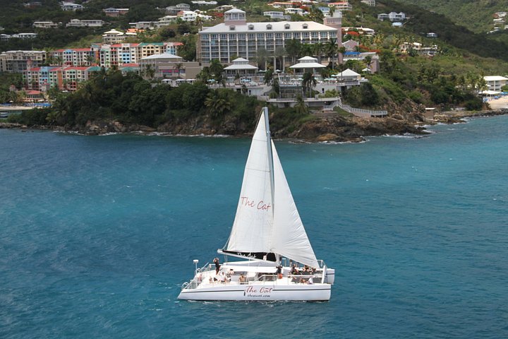 Catamaran sailing and snorkeling adventure with sea turtles in St. Thomas, photo 10 | wizardtrip