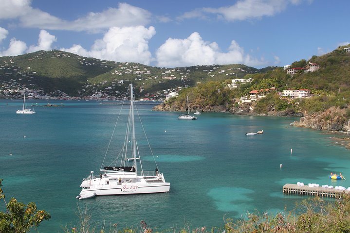 Catamaran sailing and snorkeling adventure with sea turtles in St. Thomas, photo 12 | wizardtrip