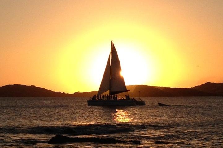 Njut av en naturskön solnedgångskryssning med katamaran, drinkar och snacks i Charlotte Amalie Harbor, St. Thomas, foto 6 | wizardtrip
