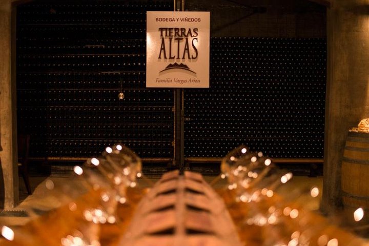 Malbec Experience at Bodega Tierras Altas | wizardtrip