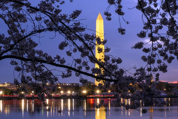 Passeio noturno pelos monumentos do National Mall de Washington DC, incluindo a Casa Branca e o Capitólio, foto 16 | wizardtrip