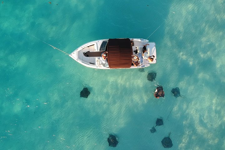 Excursions privées de luxe vers Stingray City, snorkeling et plus encore | wizardtrip