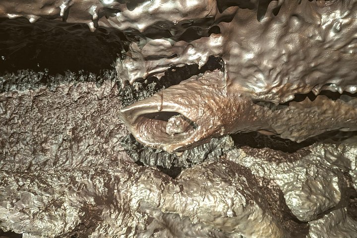 Passeio guiado dentro de um túnel de lava vulcânica na Ilha da Reunião, explorando formações geológicas únicas, foto 8 | wizardtrip