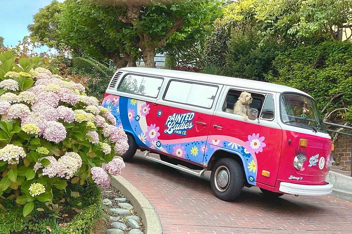 Oldtimer-VW-Bus-Tour zu den ikonischen Wahrzeichen San Franciscos wie der Golden Gate Bridge und den Painted Ladies, Foto 6 | wizardtrip