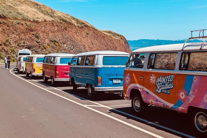 Oldtimer-VW-Bus-Tour zu den ikonischen Wahrzeichen San Franciscos wie der Golden Gate Bridge und den Painted Ladies, Foto 10 | wizardtrip