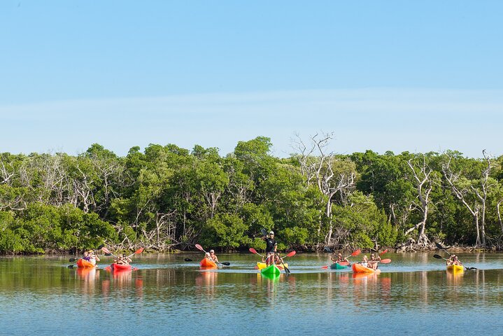 Aventura de navegación, snorkel y kayak en el santuario marino de Cayo Hueso, foto 10 | wizardtrip