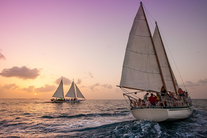 Aventura de navegación, snorkel y kayak en el santuario marino de Cayo Hueso, foto 11 | wizardtrip