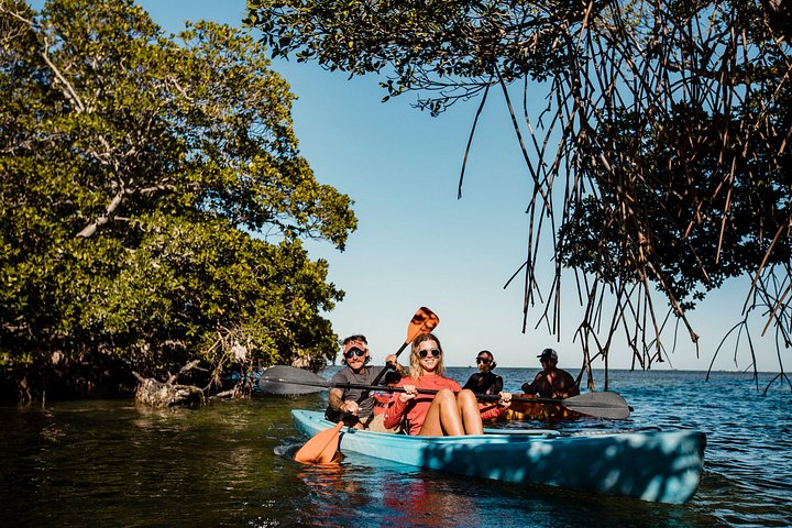 Aventura de navegación, snorkel y kayak en el santuario marino de Cayo Hueso, foto 14 | wizardtrip