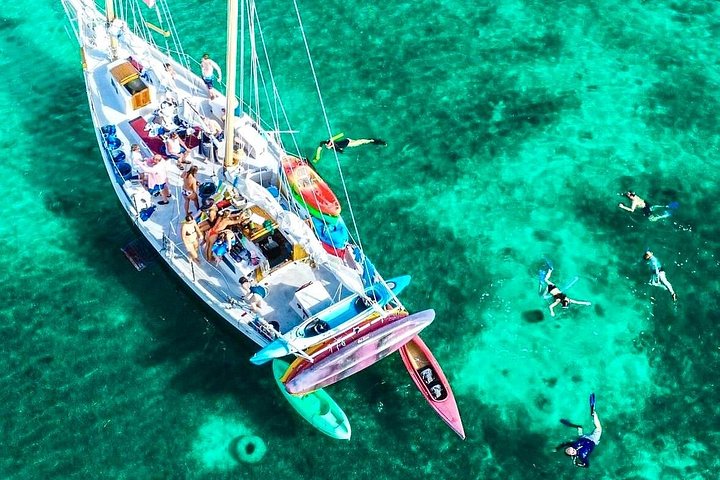 Aventura de navegación, snorkel y kayak en el santuario marino de Cayo Hueso, foto 15 | wizardtrip