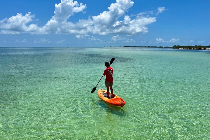 Aventura de navegación, snorkel y kayak en el santuario marino de Cayo Hueso, foto 17 | wizardtrip