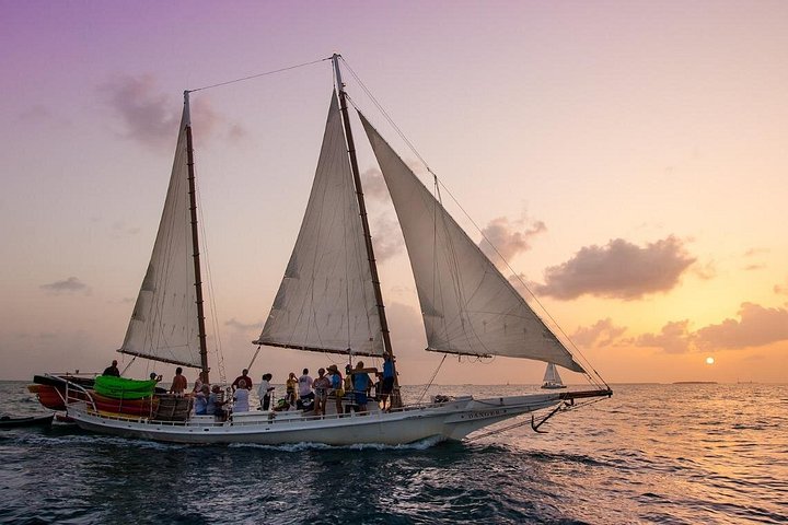 Desfrute de um passeio panorâmico ao pôr do sol em Key West com vinho e aperitivos num veleiro histórico, foto 8 | wizardtrip