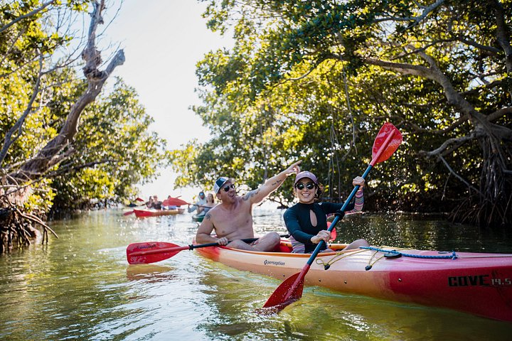 Full-day sailing, kayaking, and snorkeling adventure in Key West National Wildlife Refuge, photo 7 | wizardtrip