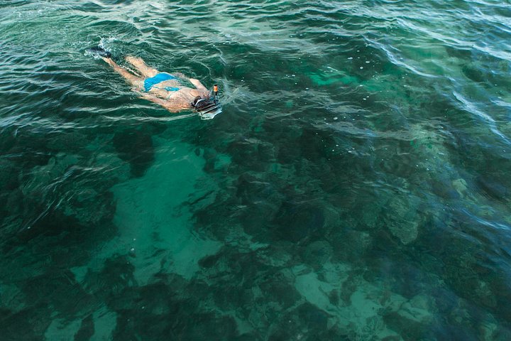 Full-day sailing, kayaking, and snorkeling adventure in Key West National Wildlife Refuge, photo 15 | wizardtrip