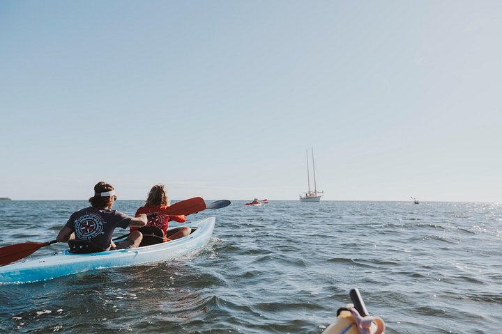 Full-day sailing, kayaking, and snorkeling adventure in Key West National Wildlife Refuge, photo 18 | wizardtrip