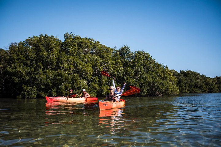 Full-day sailing, kayaking, and snorkeling adventure in Key West National Wildlife Refuge, photo 20 | wizardtrip