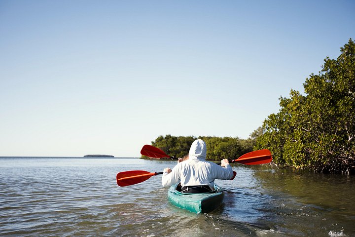 Full-day sailing, kayaking, and snorkeling adventure in Key West National Wildlife Refuge, photo 22 | wizardtrip