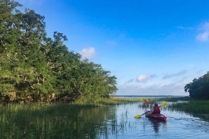 Kajaktocht met gids door de zoutmoerassen en wilde dieren van Hilton Head Island, foto 6 | wizardtrip