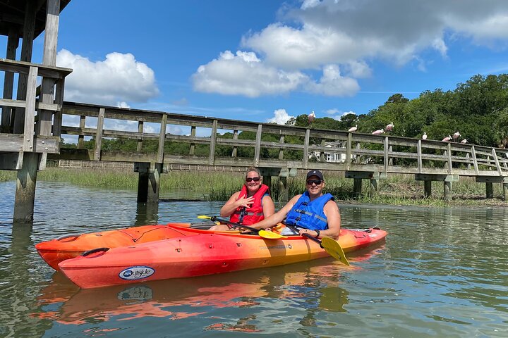 Kajaktocht met gids door de zoutmoerassen en wilde dieren van Hilton Head Island, foto 7 | wizardtrip