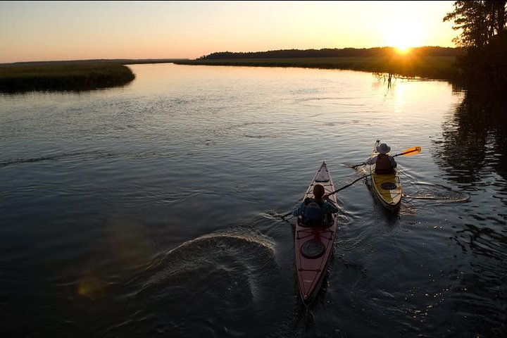 Kajaktocht met gids door de zoutmoerassen en wilde dieren van Hilton Head Island, foto 9 | wizardtrip