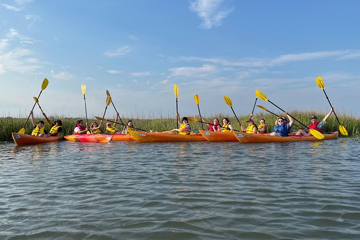 Kajaktocht met gids door de zoutmoerassen en wilde dieren van Hilton Head Island, foto 10 | wizardtrip