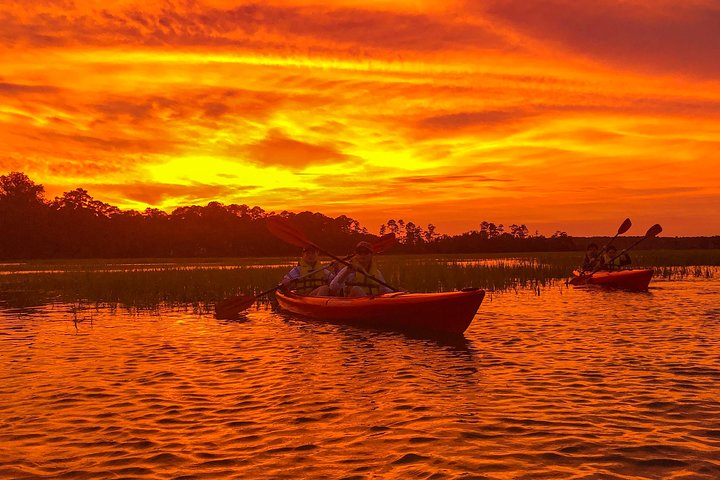 Kajaktocht met gids door de zoutmoerassen en wilde dieren van Hilton Head Island, foto 11 | wizardtrip