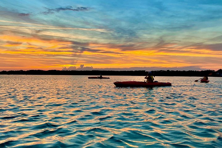 Kajaktocht met gids door de zoutmoerassen en wilde dieren van Hilton Head Island, foto 12 | wizardtrip
