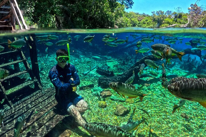 Recanto Ecológico Rio da Prata Ticket with Trail & Snorkeling | wizardtrip
