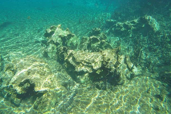 Schnorchelabenteuer im klaren Wasser des Recanto Ecológico Rio da Prata, Bonito, Brasilien, Foto 6 | wizardtrip