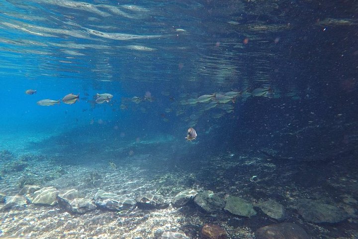 Schnorchelabenteuer im klaren Wasser des Recanto Ecológico Rio da Prata, Bonito, Brasilien, Foto 7 | wizardtrip