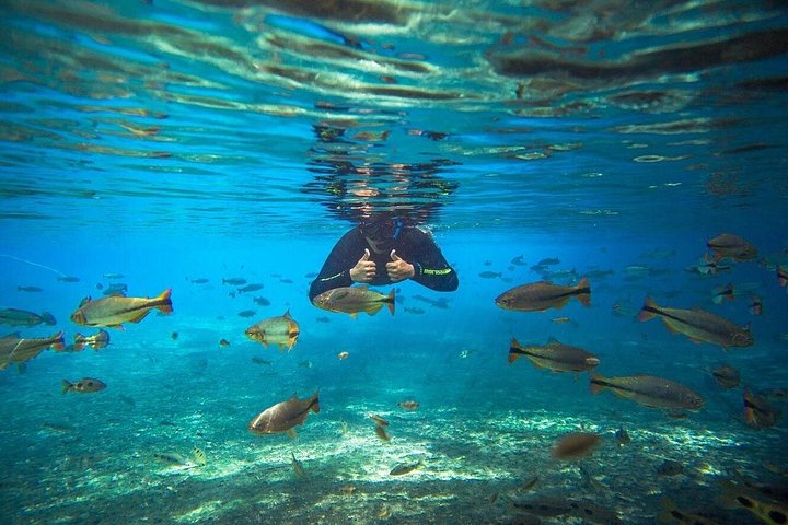 Schnorchelabenteuer im klaren Wasser des Recanto Ecológico Rio da Prata, Bonito, Brasilien, Foto 10 | wizardtrip
