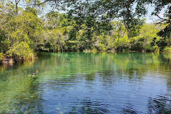 Schnorchelabenteuer im klaren Wasser des Recanto Ecológico Rio da Prata, Bonito, Brasilien, Foto 12 | wizardtrip