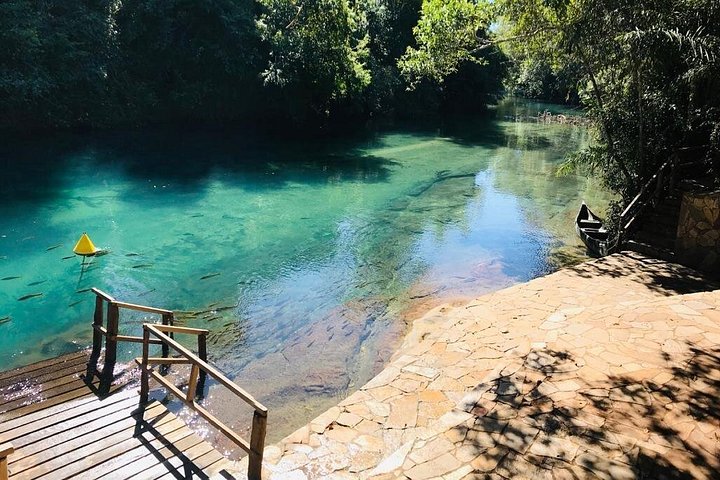Schnorchelabenteuer im klaren Wasser des Recanto Ecológico Rio da Prata, Bonito, Brasilien, Foto 13 | wizardtrip