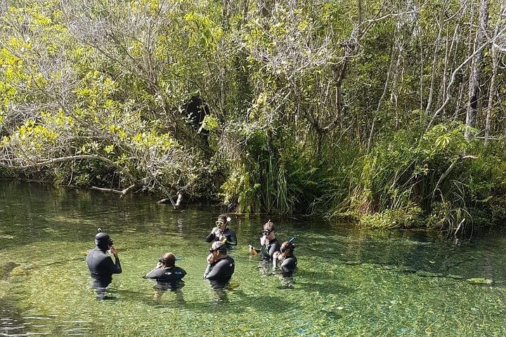 Schnorchelabenteuer im klaren Wasser des Recanto Ecológico Rio da Prata, Bonito, Brasilien, Foto 15 | wizardtrip