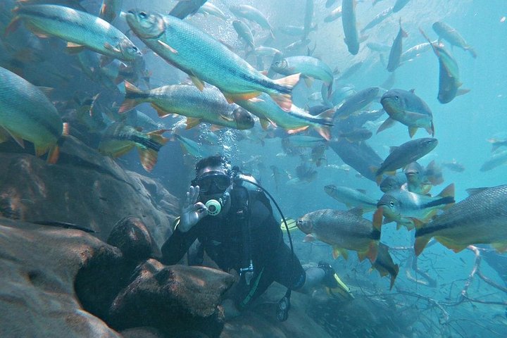 Schnorchelabenteuer im klaren Wasser des Recanto Ecológico Rio da Prata, Bonito, Brasilien, Foto 16 | wizardtrip