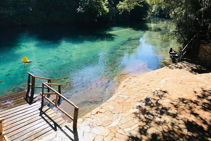 Schnorchelabenteuer im klaren Wasser des Recanto Ecológico Rio da Prata, Bonito, Brasilien, Foto 18 | wizardtrip