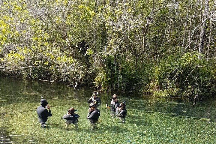 Schnorchelabenteuer im klaren Wasser des Recanto Ecológico Rio da Prata, Bonito, Brasilien, Foto 19 | wizardtrip