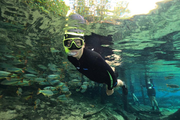 Schnorchelabenteuer im klaren Wasser des Recanto Ecológico Rio da Prata, Bonito, Brasilien, Foto 20 | wizardtrip