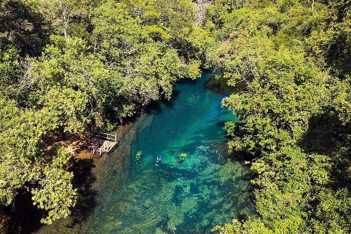Schnorchelabenteuer im klaren Wasser des Recanto Ecológico Rio da Prata, Bonito, Brasilien, Foto 23 | wizardtrip