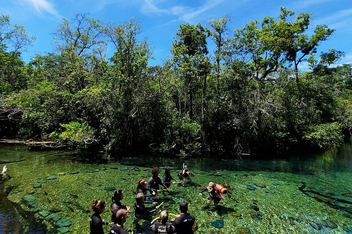 Schnorchelabenteuer im klaren Wasser des Recanto Ecológico Rio da Prata, Bonito, Brasilien, Foto 26 | wizardtrip