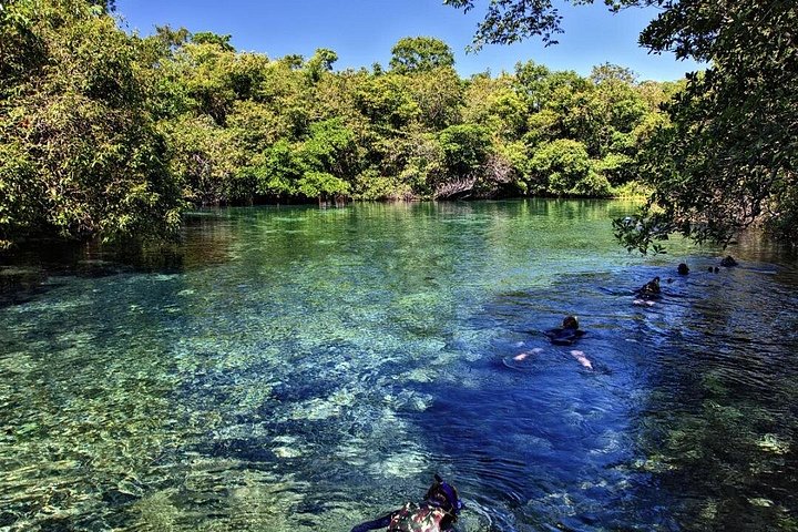 Schnorchelabenteuer im klaren Wasser des Recanto Ecológico Rio da Prata, Bonito, Brasilien, Foto 29 | wizardtrip